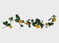 citrongirlang