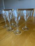 Glas. Snapsglas