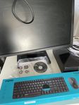 sharkgaiming speldator