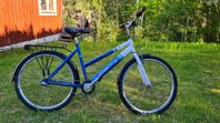 Flickcykel