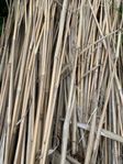 Väststöd av bambu 