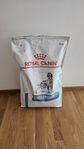 Ryoal Canin Anallergenic