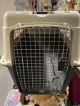 hund transport XL