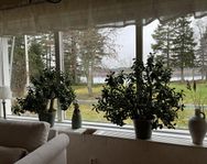 Två växter för inomhus 