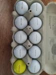 PRO V1 bollar