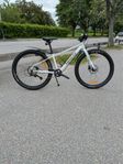 White  XC 260 Lite