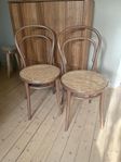 Thonet stol 14 Nougat / Rotting 