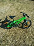 Scott Roxter 16" Green