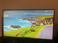 Gamingskärm Lenovo g25-10 24,5