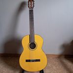 akustisk gitarr