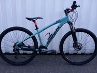 Bianchi Mountainbike 