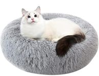 Hundbädd kattbädd