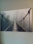 Pjätteryd Djungelbro IKEA canvas