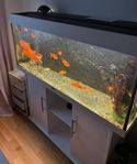 Akvarium Juwel 240L med bord