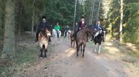Turridnng på westernhästar