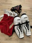 Ishockeyprylar