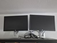 Datorskärmar hp