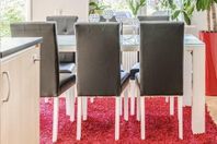 Vacker Röd matta till matbord, vardagsrum, sovrum