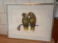 Lasse Åberg, ”Green birdies” litografi 
