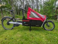 Riese & Müller modell Packster 80