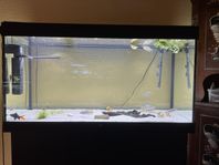Akvarium 