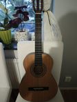 akustisk gitarr 