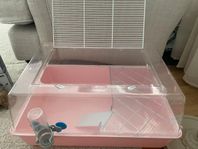 Två hamsterhonor med bur och tillbehör