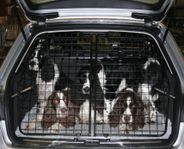 VW Passat B7 - Jeppe hundgrind och lastgaller