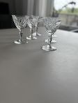 6 st sherryglas Orrefors Karolina