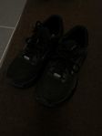 Brooks Adrenaline GTX 24 stl 43