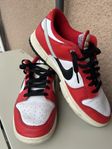 Nike skor