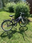 cykel 24”