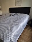 Continental säng 180x200 svart