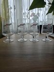 San Miguel ölglas 4 st