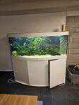 Juwel 450 l Vision 