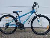 Cykel 24”