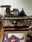 Terrarium Exo Terra 60x45x30