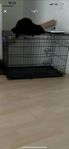 hundbur L 500kr