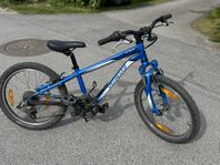 Specialized - 20 tum