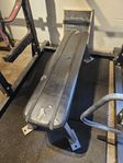 Hammer Strength flat bench