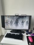 Zowie 25” XL2540K 240 Hz e-Sports Monitor