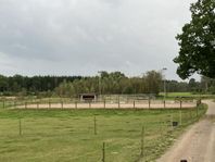 Stallplats/ Inackordering/ Lösdrift