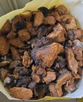 Chaga/sprängticka