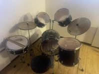 Trumset Premier