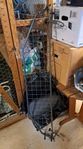 Hundgaller / lastgaller  Ford Mondeo