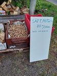 sättpotatis