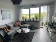 Rymlig 1:a på populära kullen med låg hyra