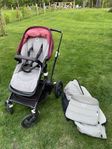 Bugaboo fox