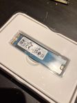 256GB NVMe SSD – Kioxia – Otestad