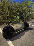 Fat bike